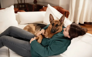 The Ultimate Guide to Creating a Pet-Friendly Home: Tips and Must-Have Accessories for Dogs