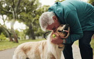 Pamper Your Paws: The Ultimate Guide to Elevating Your Pet's Lifestyle