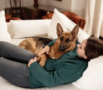 The Ultimate Guide to Creating a Pet-Friendly Home: Tips and Must-Have Accessories for Dogs