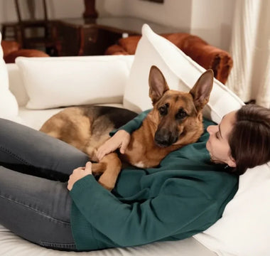 The Ultimate Guide to Creating a Pet-Friendly Home: Tips and Must-Have Accessories for Dogs