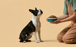 What's Trending in Dog Nutrition: What Every Dog Parent Should Know in 2026