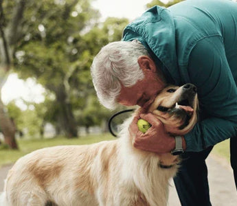Pamper Your Paws: The Ultimate Guide to Elevating Your Pet's Lifestyle