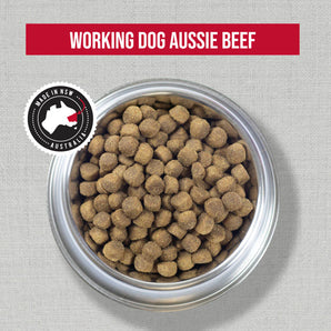 Stockman & Paddock – Adult Dog – Working Dog – Aussie Beef
