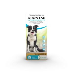 Drontal – Allwormer